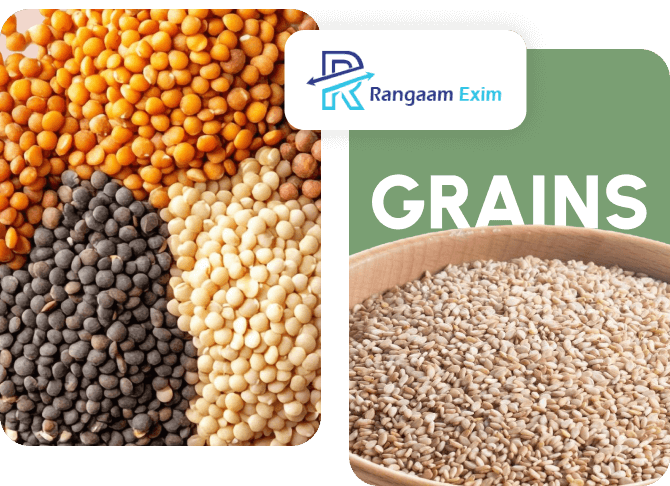 Grains
