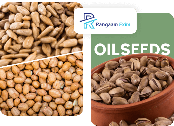 Oilseeds