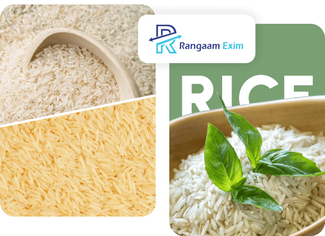 Basmati & Non Basmati Rice