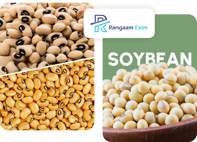 Soyabean